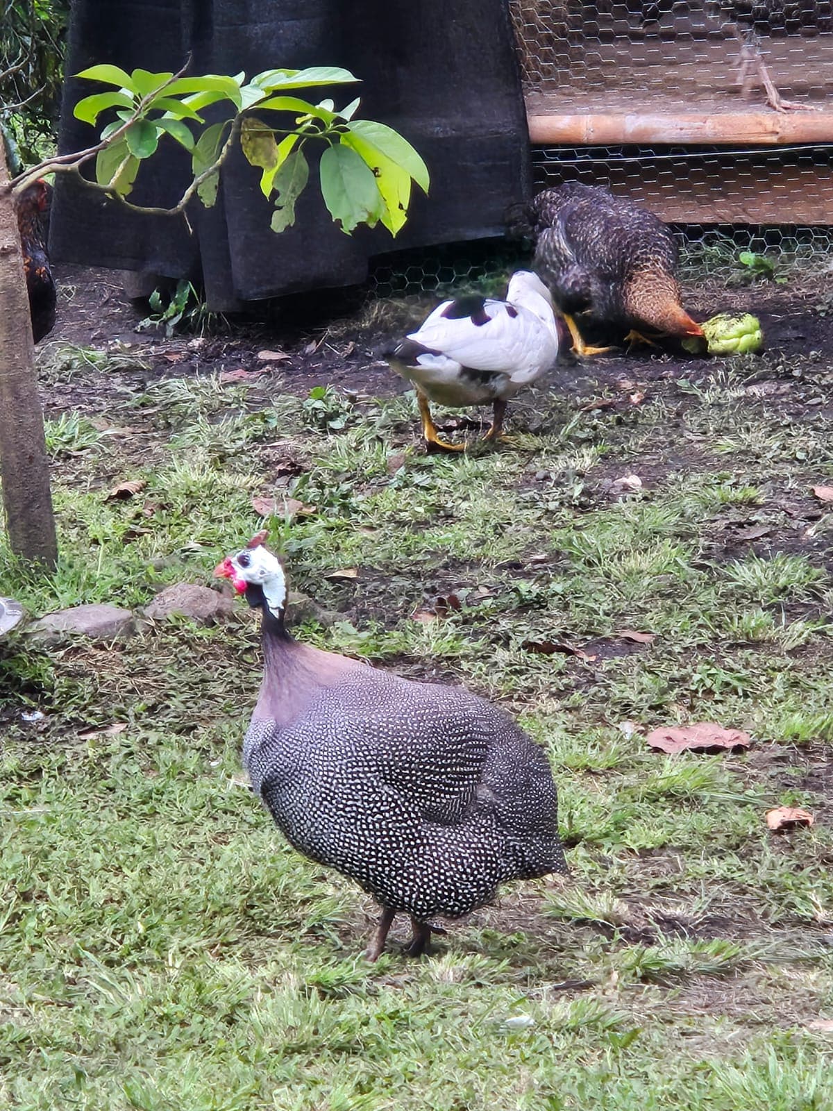 Foto de Senderos Amados 13